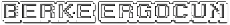 Berke Blog