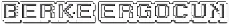 Berke Blog